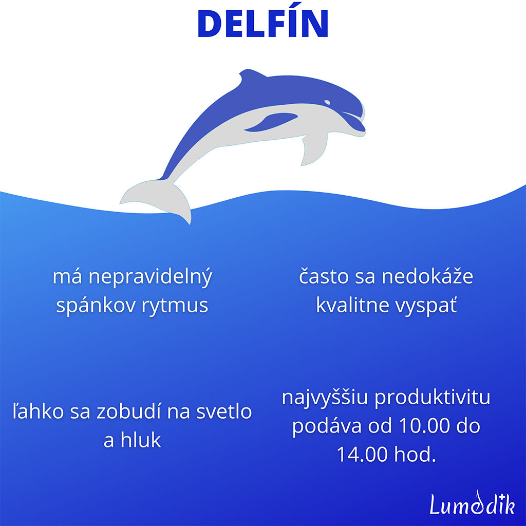 chronotyp delfín